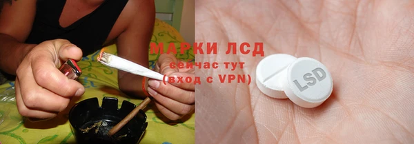 гидра Коряжма