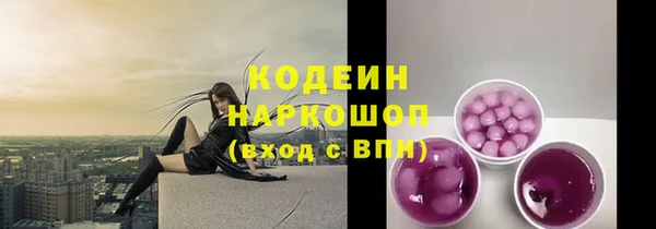 гидра Коряжма