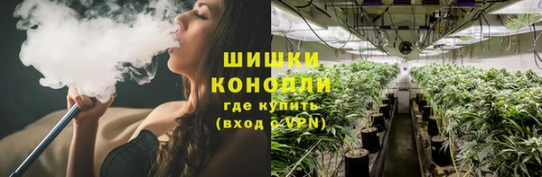 гидра Коряжма