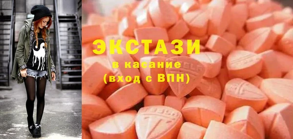 индика Козловка
