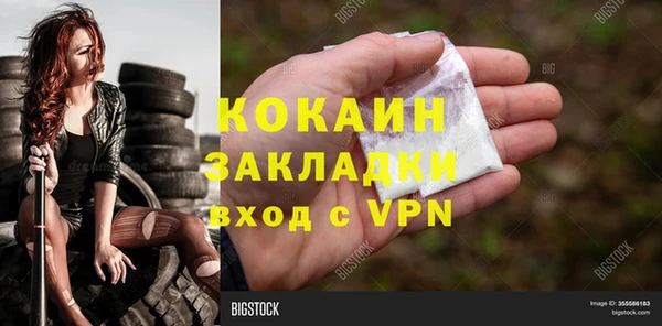 мдпв Кодинск