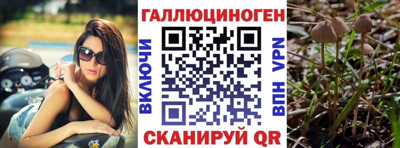 Купить где  Курск  Галлюциногенные грибы ЛСД 